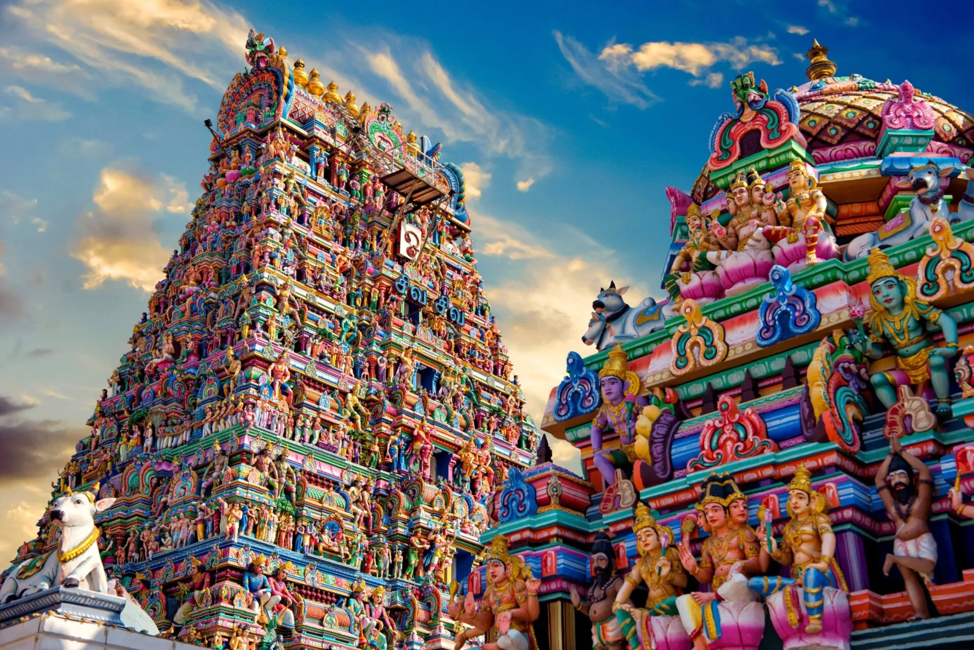 Chennai local services