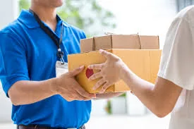 Driver and Chauffeur Services in Mahabubnagar
